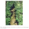Plate 6. Otter Creek (DFS) in summer